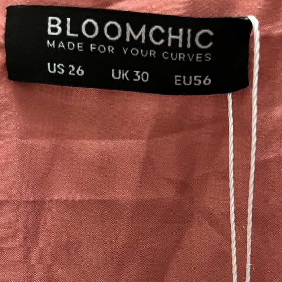 Bloom Chic Dusty Pink midi dress with ruffles on skirt in a size 26. - Picture 3 of 6